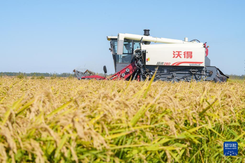 金沙游戏手机版